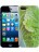 Чехол для iphone Kawaii Factory Чехол для iPhone 5/5s "Пекинская капуста" Зеленый - фото №1