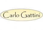 Carlo Gattini