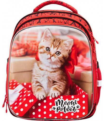 Школьный ранец Steiner SK2-8 Meow power- фото №1