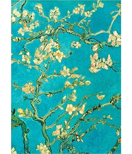 Обложка для паспорта Kawaii Factory Обложка для паспорта Van Gogh- фото №1