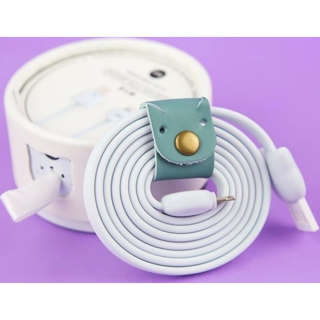 Зарядка Kawaii Factory Кабель для зарядки micro usb ios в коробке с котом Голубой - фото №1
