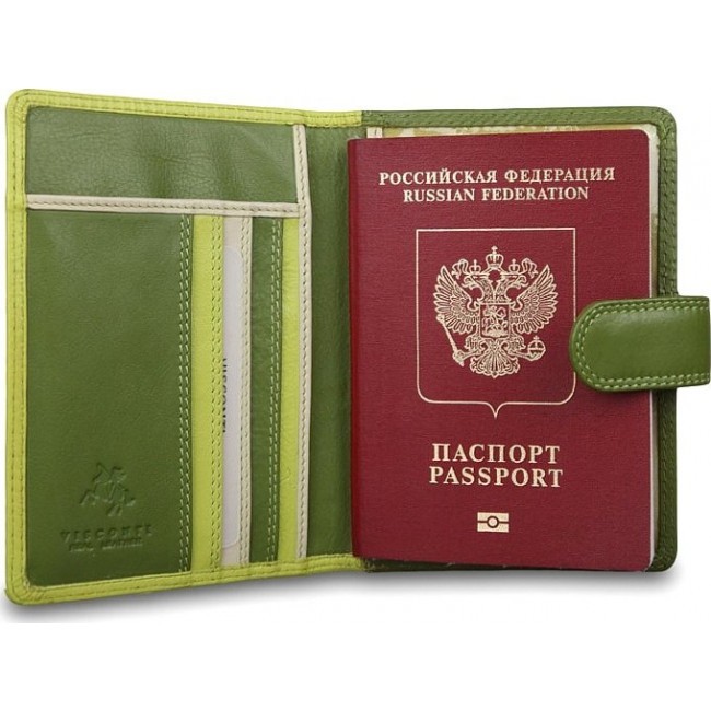 Обложка для паспорта Visconti RB75 Лайм мульти - фото №3