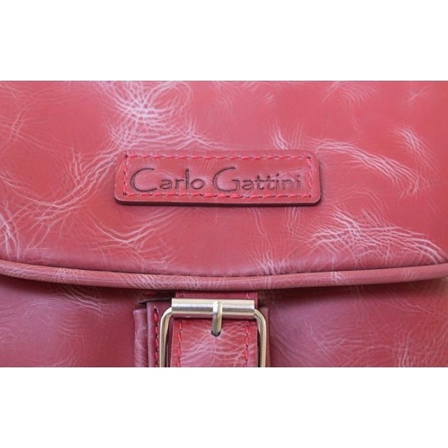 Рюкзак Carlo Gattini 3008 Красный - фото №4