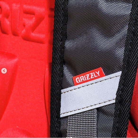 Ранец Grizzly RA-970-4 Красный - т. серый - фото №9