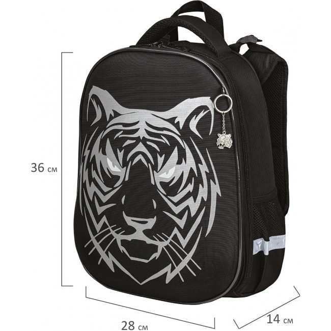 Ранец Brauberg Shiny Tiger - фото №2